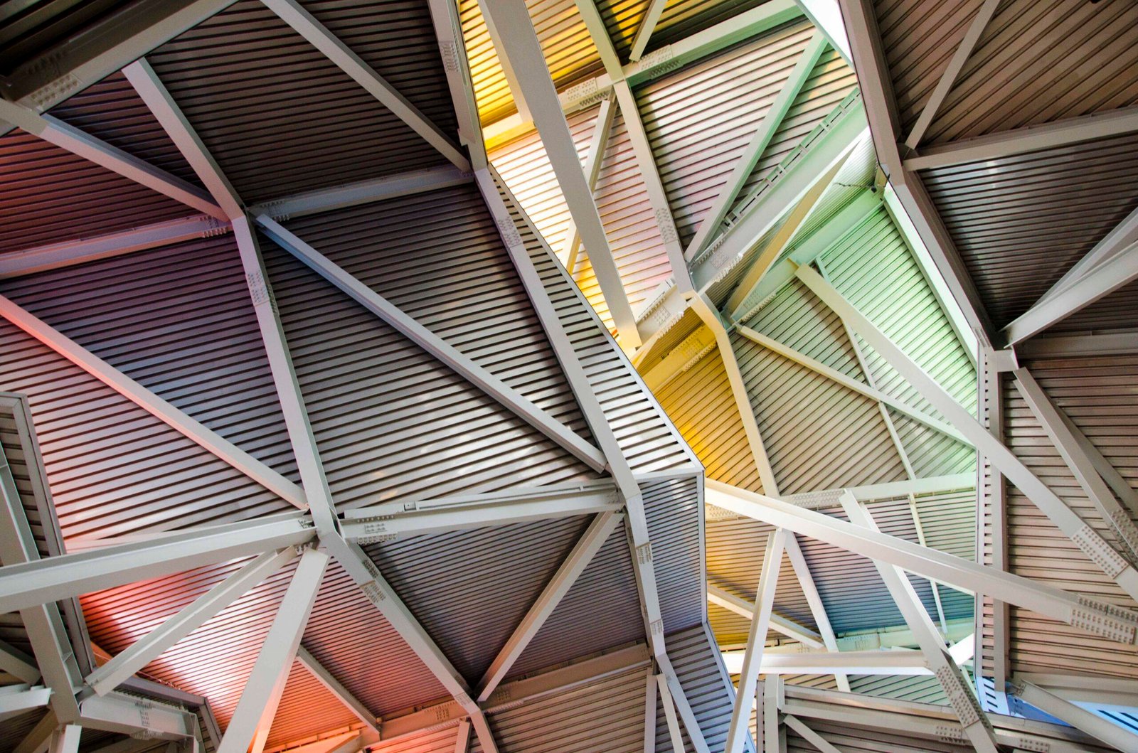 Biomuseo - Winner INTERIOR Category of the AIA LBSB 2022 Architecture Photography Competition