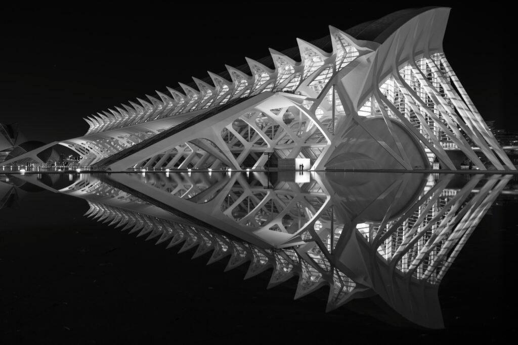 FISHBONE by Miguel J Rodriguez
