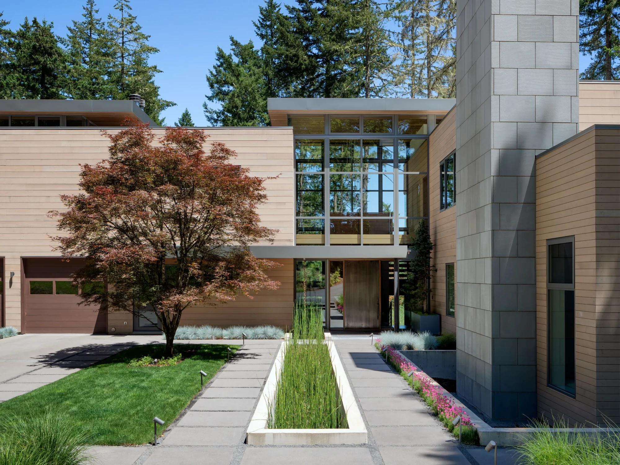 Modern two-story home with cedar siding, gray panels, and expansive windows, featuring a landscaped entry with Japanese maple.
