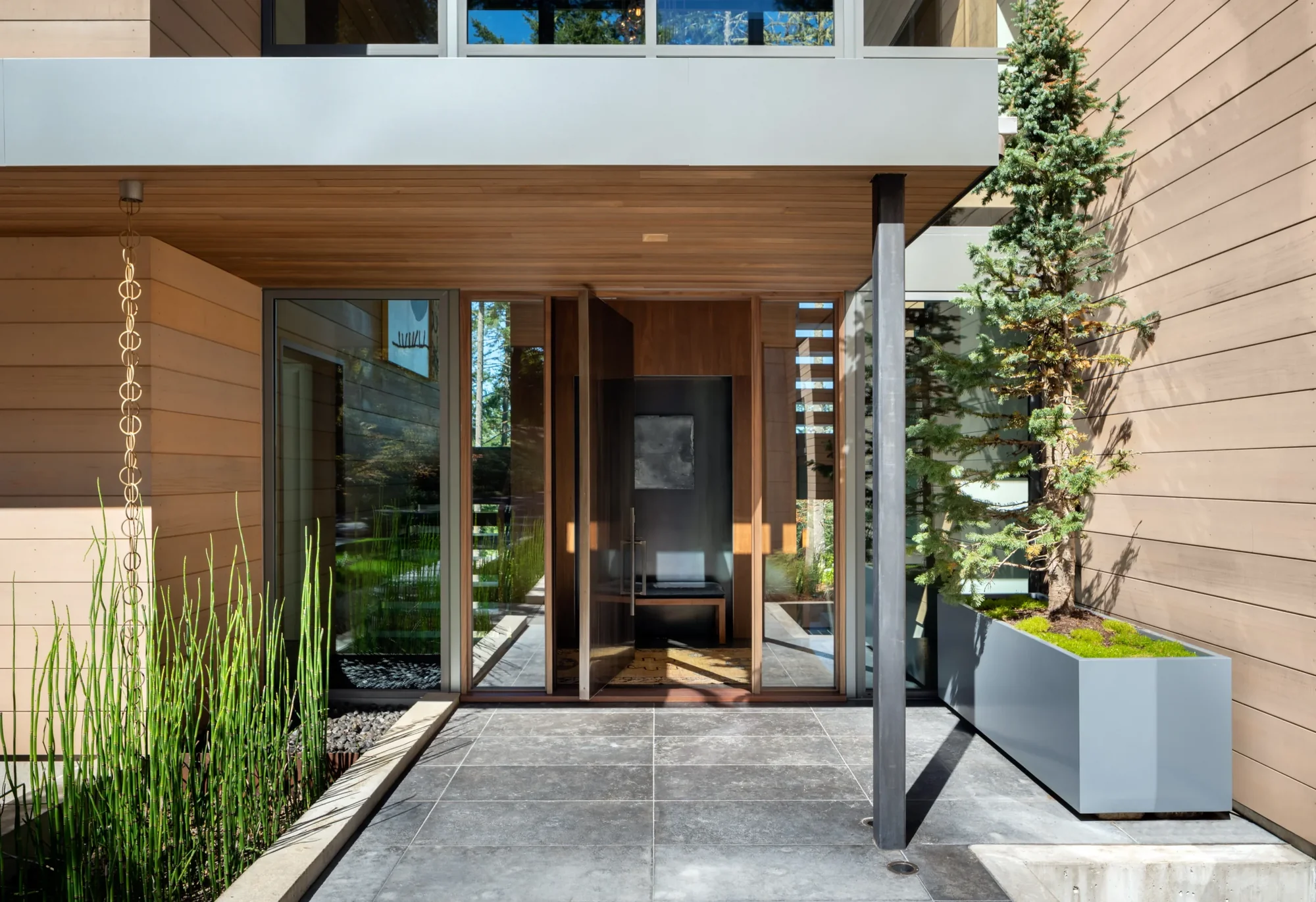 Modern home entrance with glass doors, wood siding, concrete flooring, and planter with evergreen tree