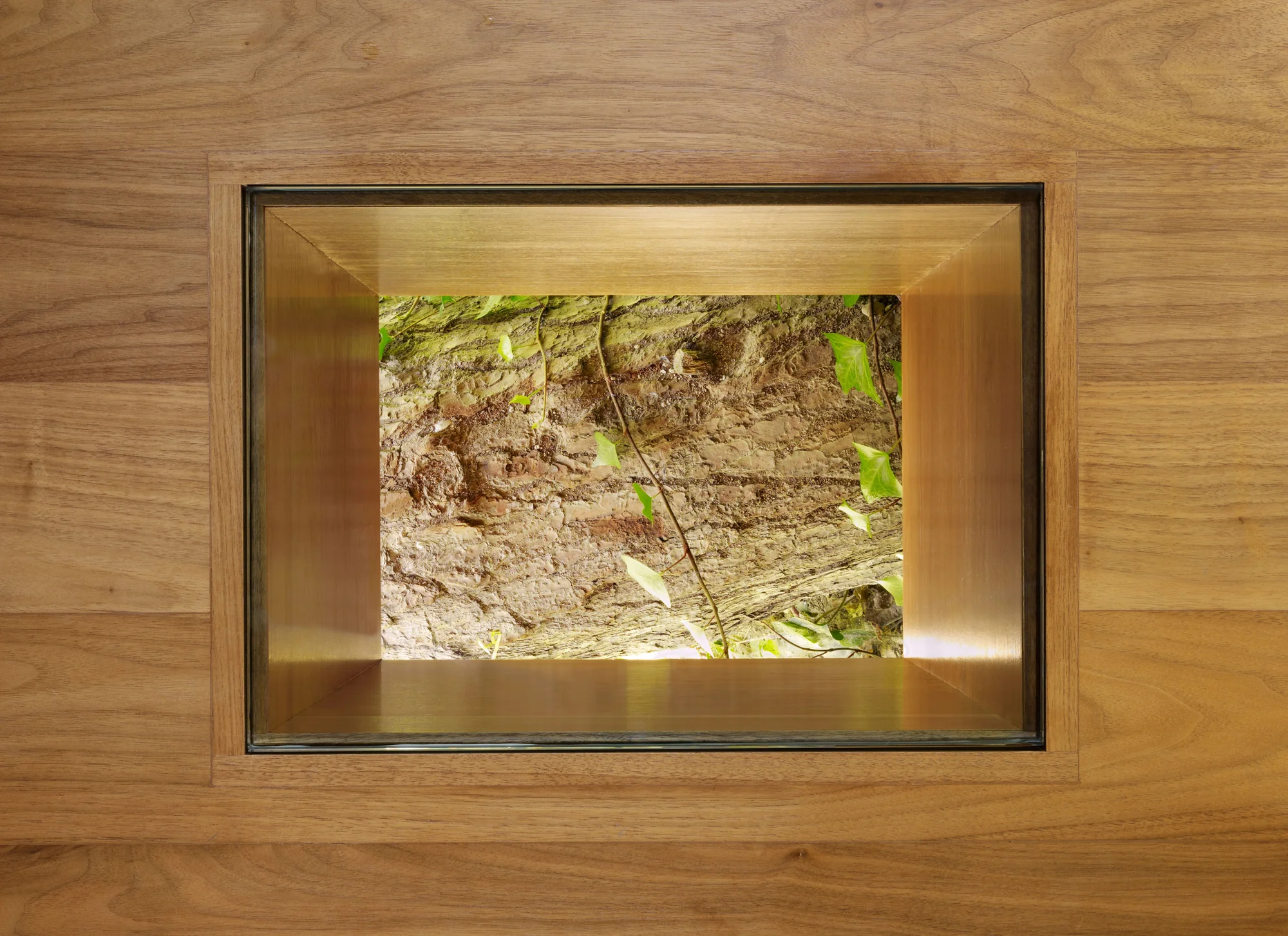 Framed skylight with brushed brass finish revealing tree bark and green leaves, blending indoor and outdoor views