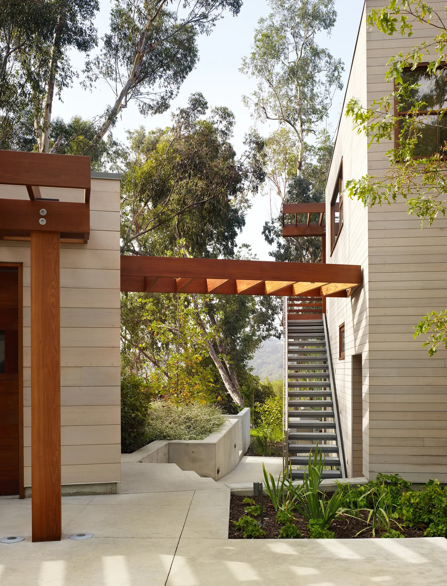 Exterior courtyard with mahogany pergola and steel stair connecting building volumes amid eucalyptus trees and native plantings.