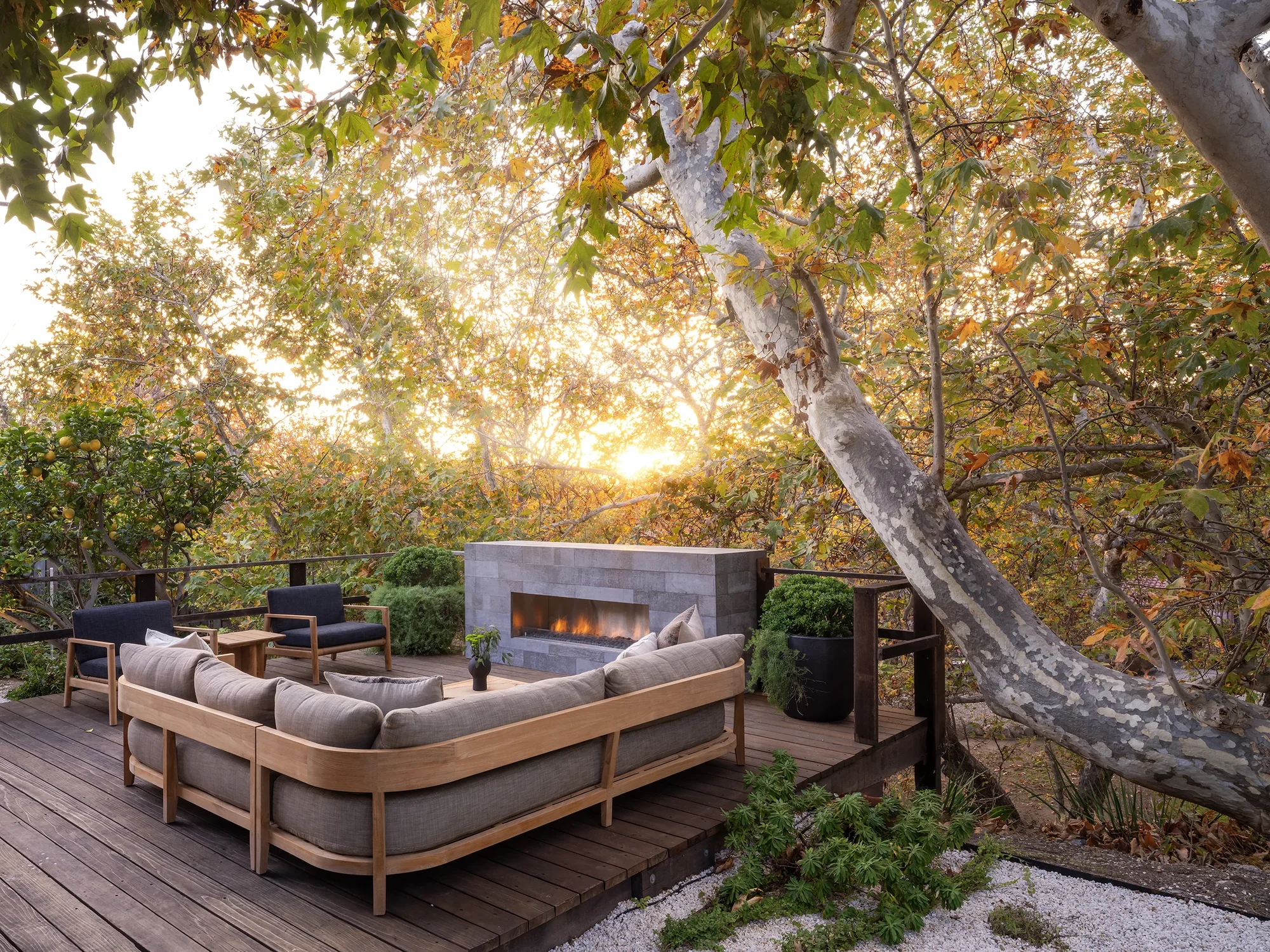 Modern outdoor deck with gray upholstered seating, concrete fireplace, and sycamore tree at sunset